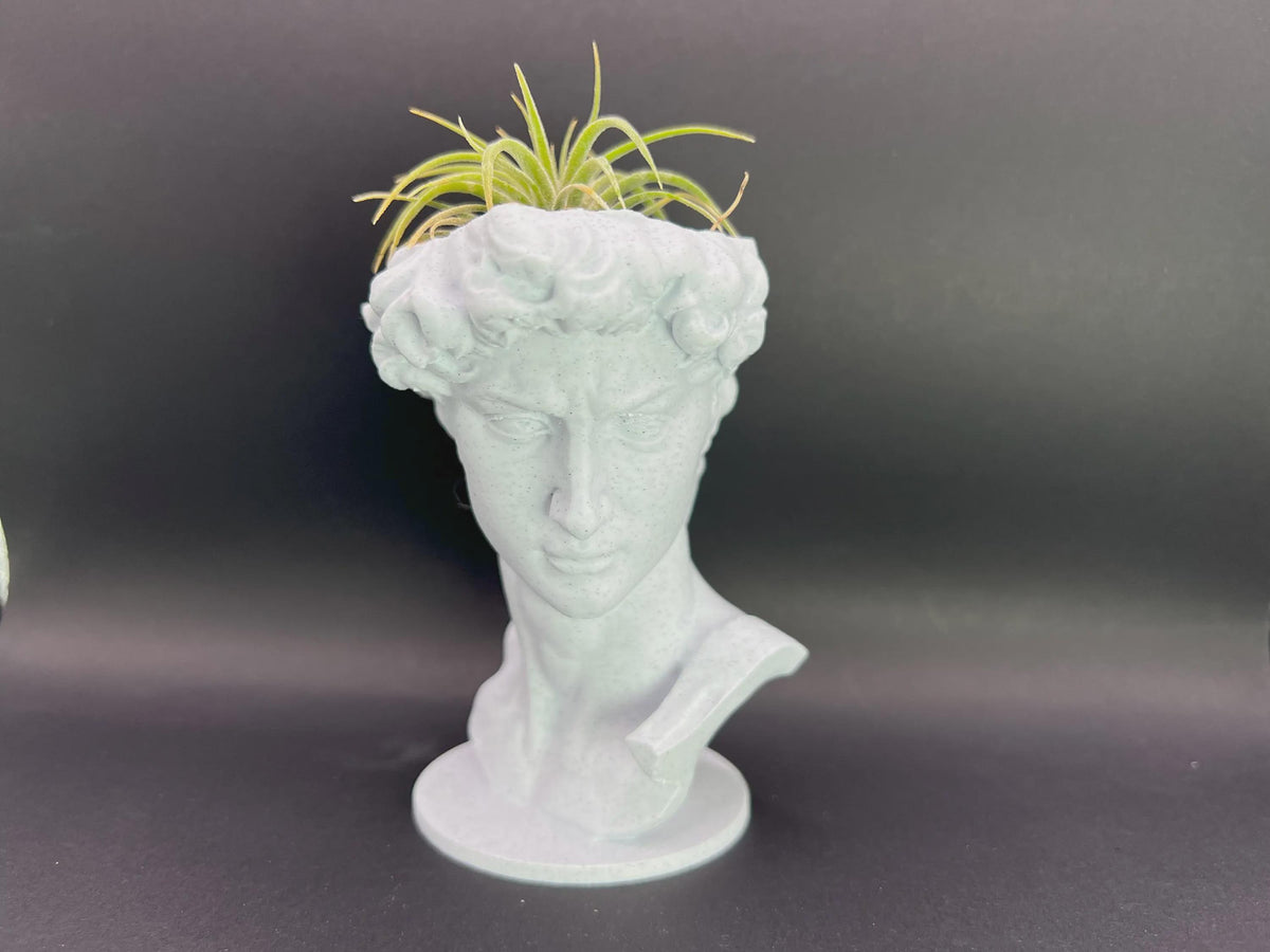 David Planter: Decorative Sculpture for Succulents & Air Plants