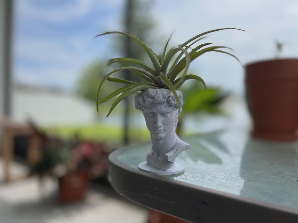 David Planter: Decorative Sculpture for Succulents & Air Plants