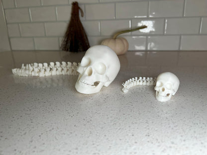 Human Skull with Articulated Spine - Gothic Halloween Decoration & Creepy Prop!