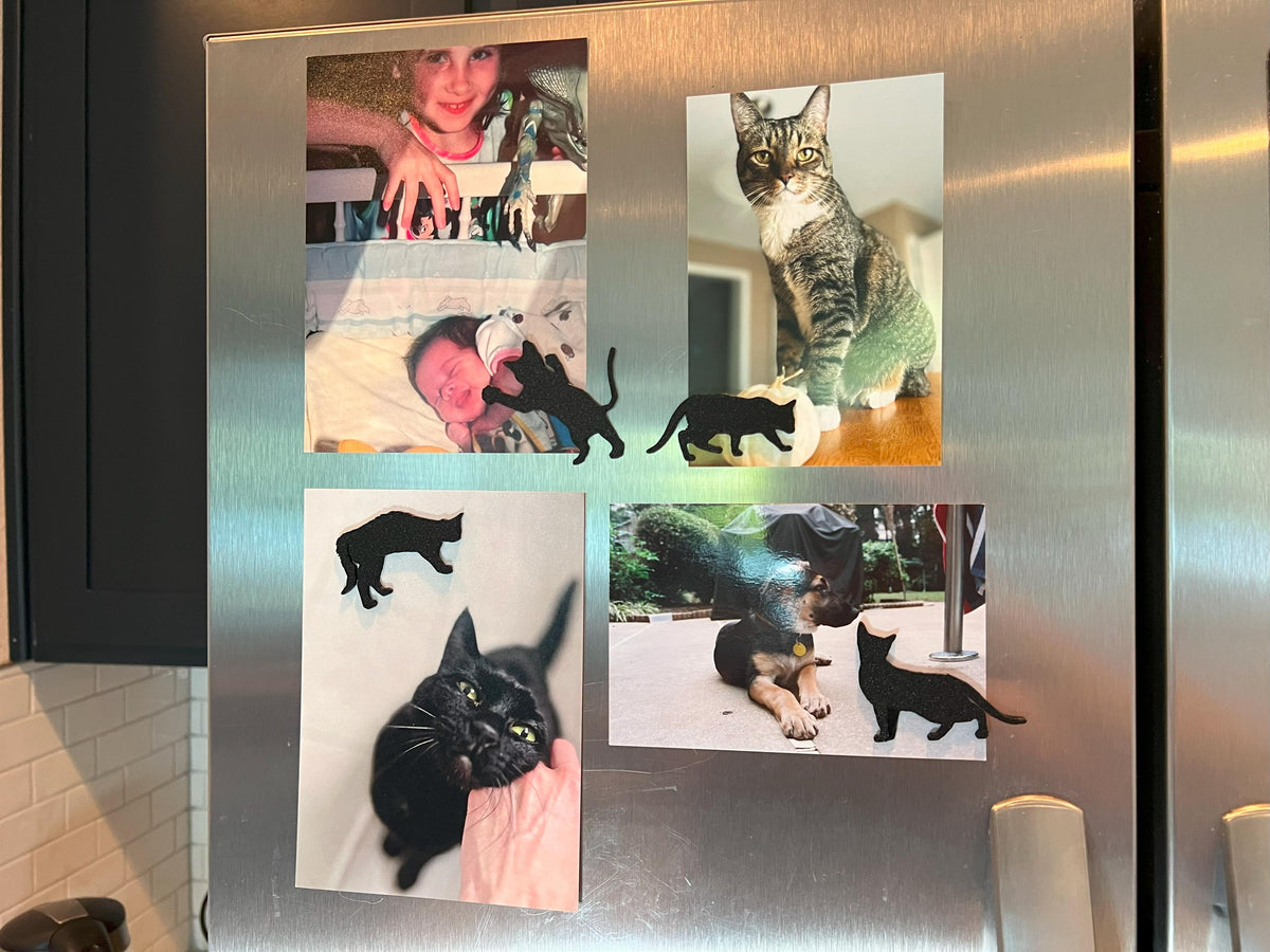 Black Cat Silhouette Magnets: Sparkle Finish, Set of 4