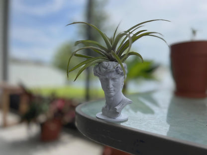 David Planter: Decorative Sculpture for Succulents & Air Plants