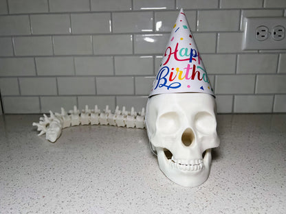 Human Skull with Articulated Spine - Gothic Halloween Decoration & Creepy Prop!