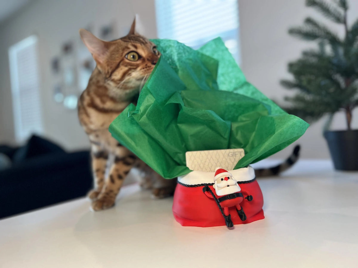 Holiday Santa with Sack Gift Card Holder • Fun Alternative to Gift Bags & Stockings